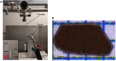 Frustrated Magnetism in Triangular Lattice TlYbS2 Crystals Grown via Molten Flux